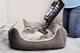 Odkurzacz pionowy Black+Decker BSV520BRP-QW - obraz 10