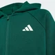 Дитяча толстовка Seasonals Collegiate Typography Junior adidas KS5142 (176) зелений (4069996340107) - зображення 3
