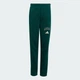 Детские джоггеры Seasonals Collegiate Typography Junior adidas KS5129 (164) зеленый (4069996402171) - изображение 1