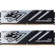 Модуль пам'яті для комп'ютера DDR5 32GB (2x16GB) 5600 MHz Panther Apacer (AH5U32G56C5227BAA-2) - зображення 1