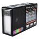 Аккумуляторный портативный радиоприемник FM AM SW с USB microSD и LED-фонарем, радио от батареек и сети для дома и дачи - изображение 2