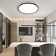 Управляемый светодиодный светильник ORBITA 45W R-RC-380x30-BLACK-230-IP20 - изображение 8