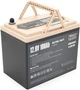 Аккумуляторная батарея Power Queen PREM24 LiFePO4 12.8V 100Ah (YT44807) - изображение 2