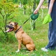 Повідець-рулетка для собак WAUDOG R-leash з контейнером для пакетів і світловідбивною стрічкою L до 40 кг 5 м зелений (262918) - зображення 6