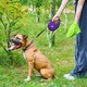 Повідець-рулетка для собак WAUDOG R-leash з контейнером для пакетів і світловідбивною стрічкою L до 40 кг 5 м фіолетовий (26299) - зображення 6
