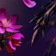 Гель-пена для душа The Ritual Of YOZAKURA Rituals 200 мл - изображение 3
