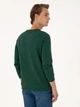 Свитшот мужской U.S. Polo Assn G081SZ082-000-2303161(Koyu Yesil) L Темно-зеленый с принтом (8683859425488) - зображення 2