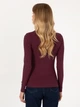 Гольф-водолазка жіноча U.S.Polo Assn G082SZ082-000-2296800 (Plum) XS Бордова (8683859341658) - зображення 2