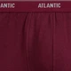 Набір трусів-боксерів чоловічих бавовняних Atlantic 2RMH-011 L 2 шт Графітовий/Винний (5903351394444) - зображення 4