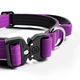 Тактичний нашийник для цуценят та міні собак BullyBillows Combat Collar Handle 2.5 cm XS-M: 25 мм, ОШ 34-46 см Фіолетовий - зображення 2