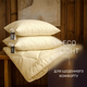 Набор антиаллергенный 3M ТМ THINSULATE ТМ Супер Теплый Eco Light Creamy №1668 (одеяло + подушки 50*70 средние) 200*220+2*50*70 - изображение 2