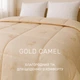 Одеяло шерстяное Camel №022 шерсть тик (летнее) 155*215 - изображение 3
