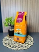 Кава в зернах Caffè Mauro Avvolgente 1 кг - изображение 2
