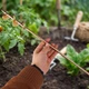 Ручной садовый бур для почвы 60 см для обработки и сверления почвы - изображение 5