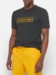 Футболка спортивная длинная мужская Calvin Klein 531551133 L Черная (1161177268) - изображение 4