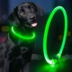 Яркий светодиодный LED ошейник для собак и кошек 0-70 см (можно укорачивать) с USB-заряд. Видимость до 500м в темноте. Цвет ЗЕЛЕНЫЙ. - изображение 8