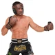 Перчатки боксерские кожаные тренировочные на липучке Fistrage Fight Gear 6458 размер 10 унций Brown - зображення 6