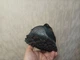 Чоловічі кросівки Elite Active black and gray чорний з сірим Арт 10139 42 - зображення 3