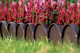Бордюр садовый Prosperplast GARDEN LINE, коричневый, 10 м - изображение 4