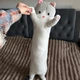 Мягкая игрушка Кот Батон 90 см Серый Подушка Антистресс - изображение 4