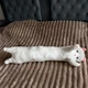 Мягкая игрушка Кот Батон 90 см Серый Подушка Антистресс - изображение 5