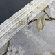 Тюль Magnolia из батиста под лен бело-бежевый на ленте для крючков 150×230 см (YH859-150) - изображение 12