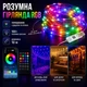 Декоративна світлодіодна RGB гірлянда IP65 з управлінням через додаток та пульт 10 м, 200 світлодіодів Різнокольорова - зображення 1
