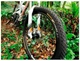 Покришка Continental Cross King 24 " / 24 x 2.00 Чорна, не складна, skin (SPT_101688) - изображение 8