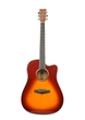 Электроакустическая гитара TANGLEWOOD TW5 CE SB - изображение 1