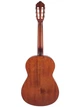 Классическая гитара Cort AC200 3/4 (Open Pore) - изображение 3