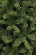 Сосна штучна Black Box Trees Edelman Charlton зелена 2,15м (8718861279368) - изображение 2