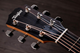 Електроакустична гітара TAYLOR GUITARS 214ce PLUS - зображення 5
