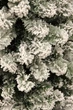 Сосна штучна Black Box Trees Edelman Millington зелена з ефектом покриття снігом 2,15м (8718861279566) - изображение 3