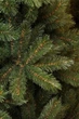 Сосна штучна Triumph Tree Edelman Forest frosted зелена 3,05м (8711473151534) - изображение 4