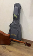 Електро-акустична гітара Fiesta FS TransAcoustic - зображення 5