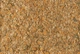 Корм для акваріумних риб у пластівцях TetraMin Flakes 1 л (200 г) - зображення 2