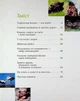 Батьки і діти у тваринному світі. Гапченко Андрій - изображение 3