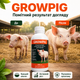 Кормова добавка для свиней GROWPIG Growth Stimulator Добавка для росту свиней 250 мл Пробіотики для свиней - зображення 4