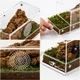 Тераріум акриловий Repti-Zoo Easy Clean Acrylic ACR47 20×10×10 см для комах, павуків - зображення 2
