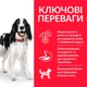 Сухой корм Hill's Science Plan Adult Medium Chicken Breed для взрослых собак средних пород с курицей 2.5 (кг) - изображение 3