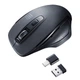 Миша Sanwa Supply WBLC169 на батарейці Wireless Black - зображення 8