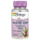 Мастиковая смола 500 мг Solaray Mastic Gum 45 растительных капсул - изображение 1
