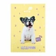 Школьный дневник Kite Studio Pets "Песик в окулярах" 16.5х23 см т/обл жёлтый (SP26-262-1) - изображение 1