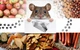 Питательная ловушка для отлова котов, кустей, хорьков и других животных - изображение 7