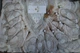 Скатертина Selin 120114333 350х160 см Оксамит Бежевий - изображение 4