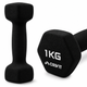 Гантелі вінілові Crivit 2 x 1 кг Black (R4836131820250) - изображение 6