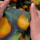Ткань Панама хлопок 180 см 235 гр/м2 з защитой от пятен, для скатертей, штор, декора 5263622 - изображение 4