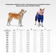 Ветровка для собак WAUDOG Clothes, рисунок "Апельсины", XS22, В 30-34 см, С 19-21 см - изображение 2
