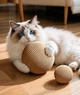 Игрушка мяч для котов 8 см, интерактивный мяч для игры, кусания и лапок - изображение 3