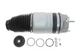 Подушка передней пневмоподвески VW Touareg 10-18 (L) Vika 46160001901 - изображение 1